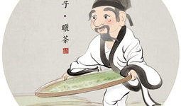 白茶的漫画,茶香四溢的奇幻旅程