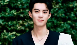 吃瓜娱乐圈王鹤棣,娱乐圈的瓜田新秀，星光璀璨的蜕变之路