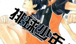 排球少年漫画,梦想与激情的青春竞技之旅