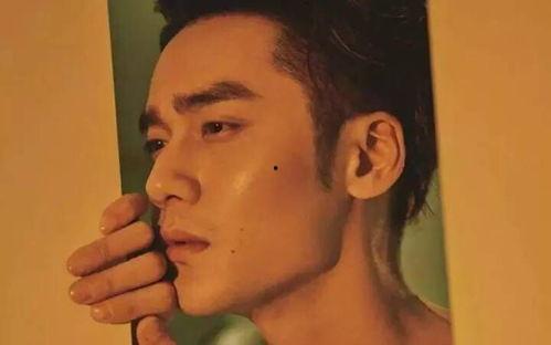 爱娱乐的吃瓜君